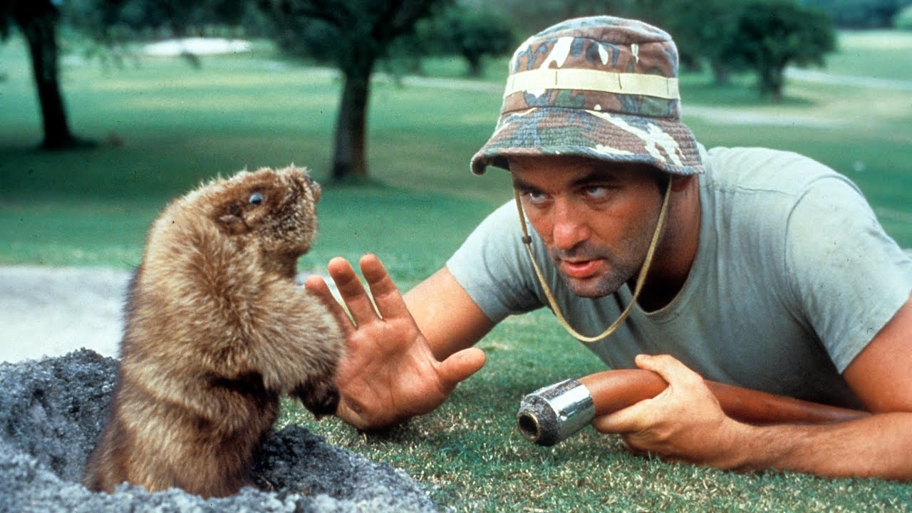 CADDYSHACK - VARMINTS! - MENACE TO THE GOLFING INDUSTRY