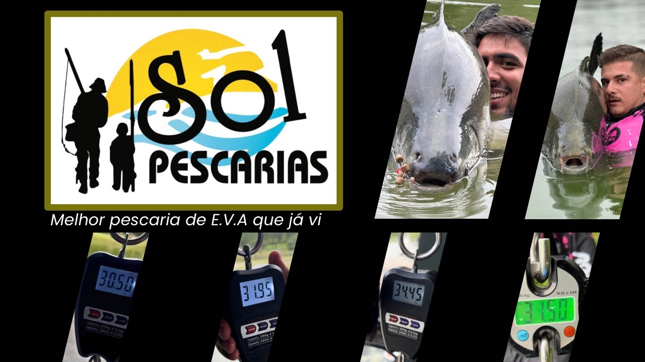 PESCARIA INSANA NA ANTENA/TRINTADA NO LAGOSTIM/ PEIXES COMENDO DEMAIS/SOL PESCARIAS/