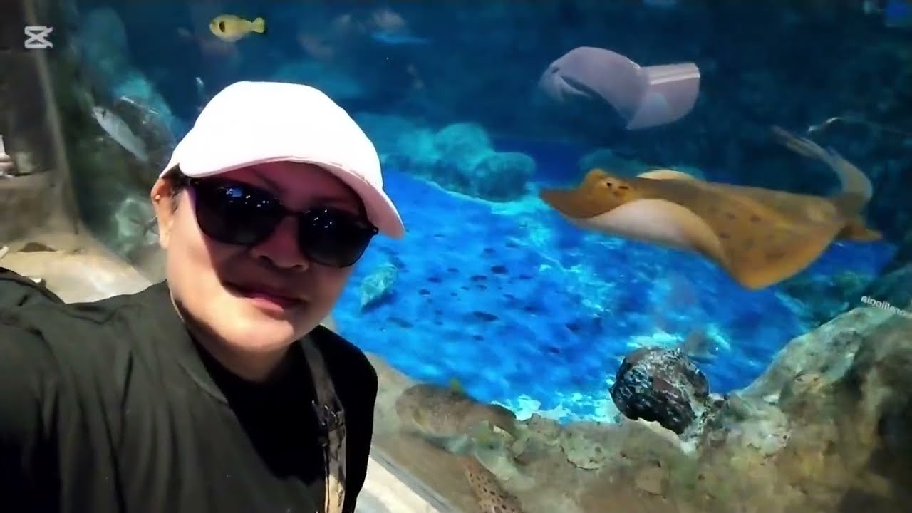 HALA ANO ITO? / JV CHANNEL 