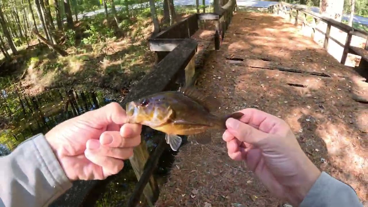 Fishing an Abandoned Park (Micro Finesse)