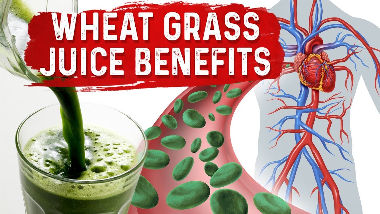 Green Blood Therapy – Benefits of Wheatgrass Juice Powder – Dr. Berg