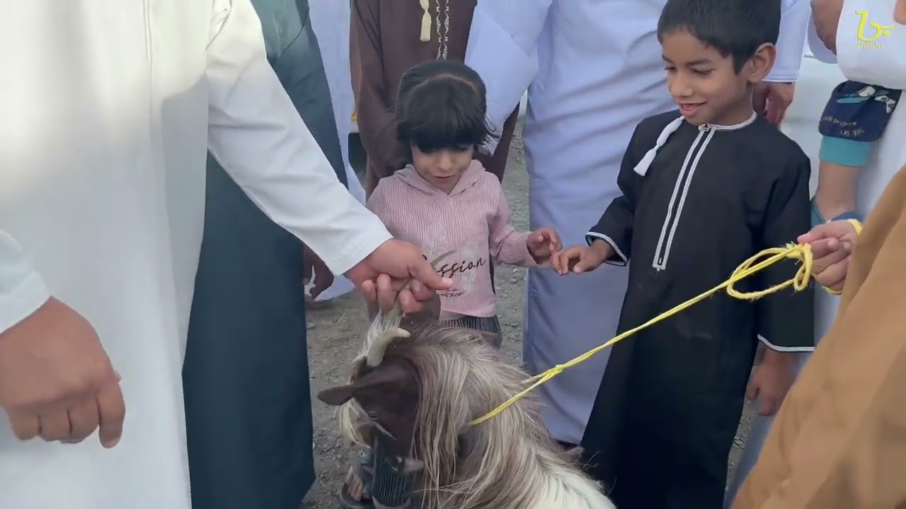 حكاية العيد   من سوق بهلاء