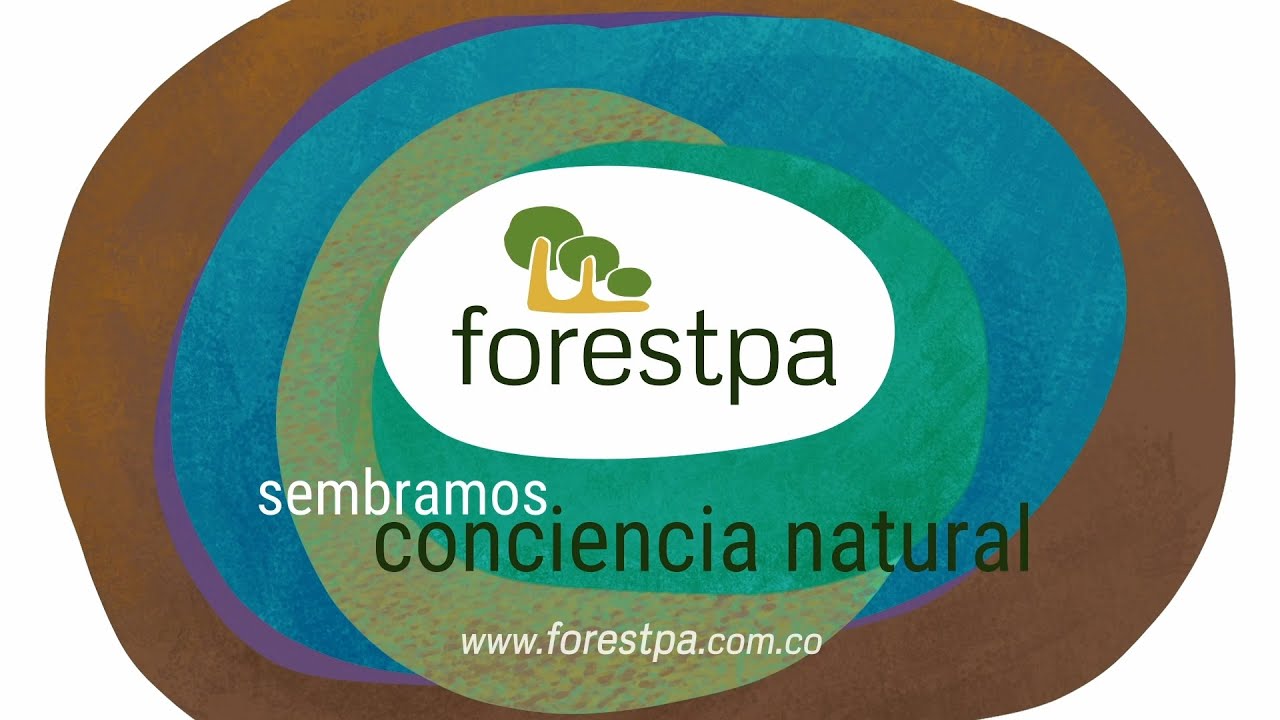 Portafolio