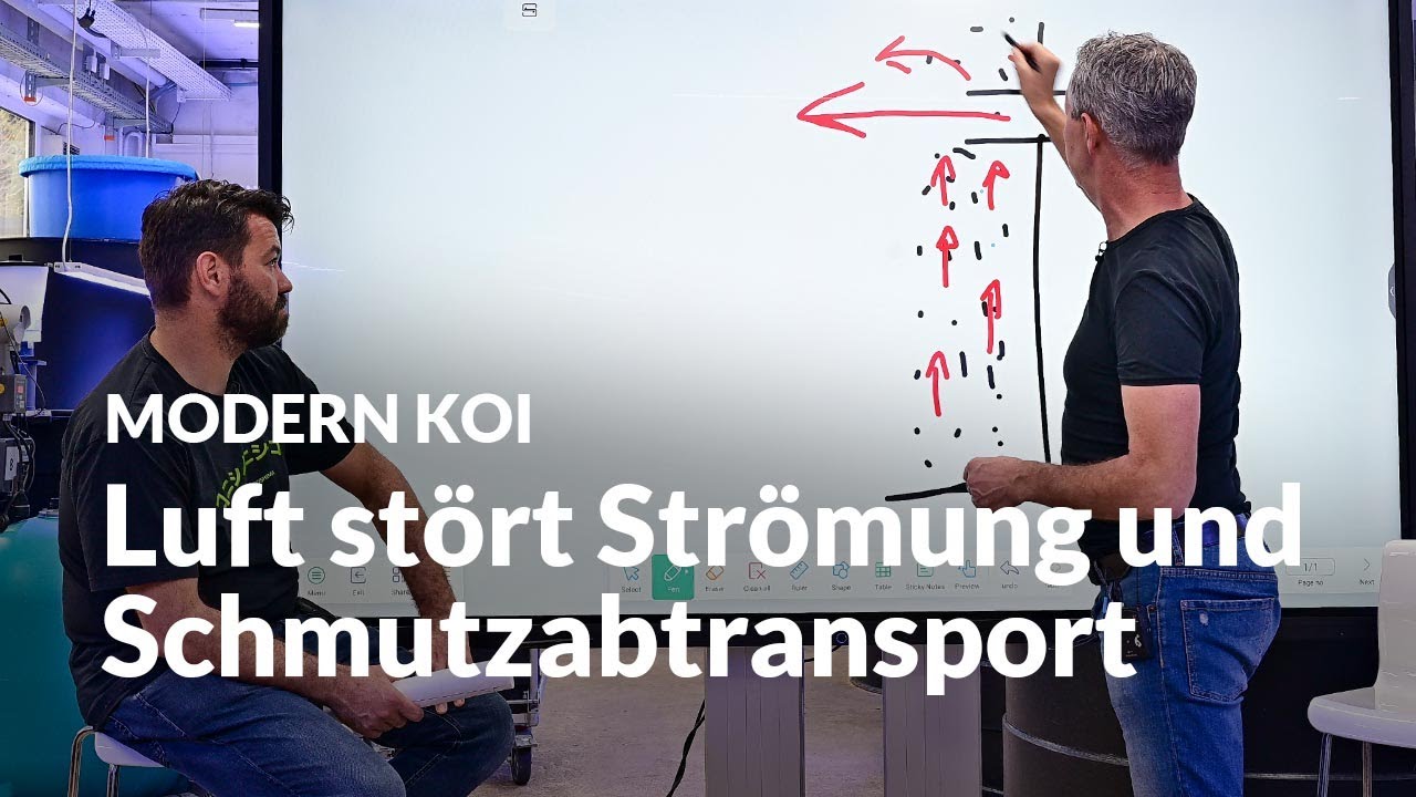 Die Ideale Platzierung für die Teichbelüftung| Modern Koi Blog #6550