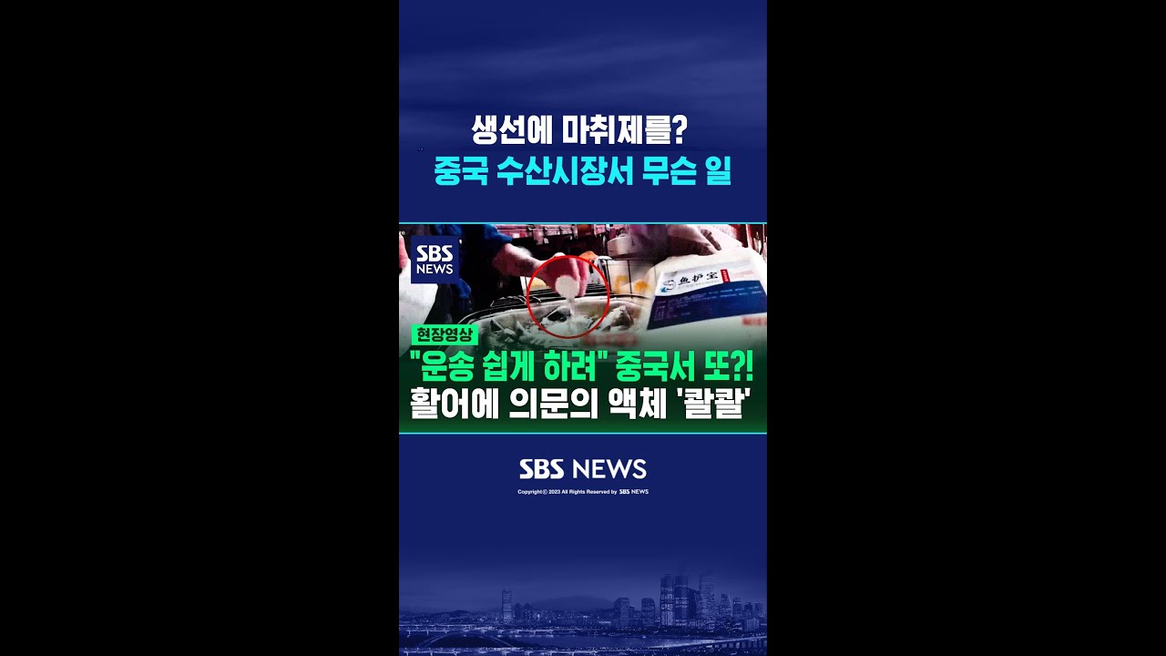 '팔딱팔딱' 하더니 순식간에 기절한 활어&hellip;중국 수산시장에서 무슨 일이? #shorts