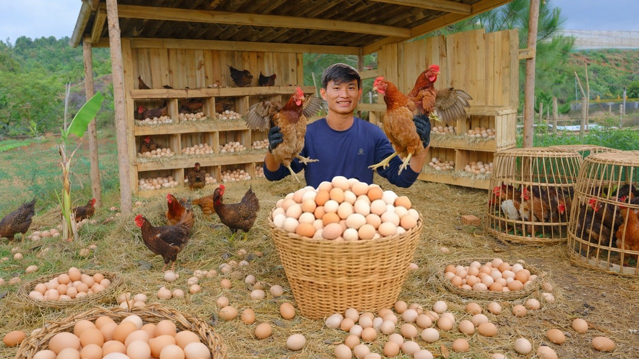 Chairman Leaves City Life to Raise Chickens – Builds a Coop and Sells Eggs at the Local Market