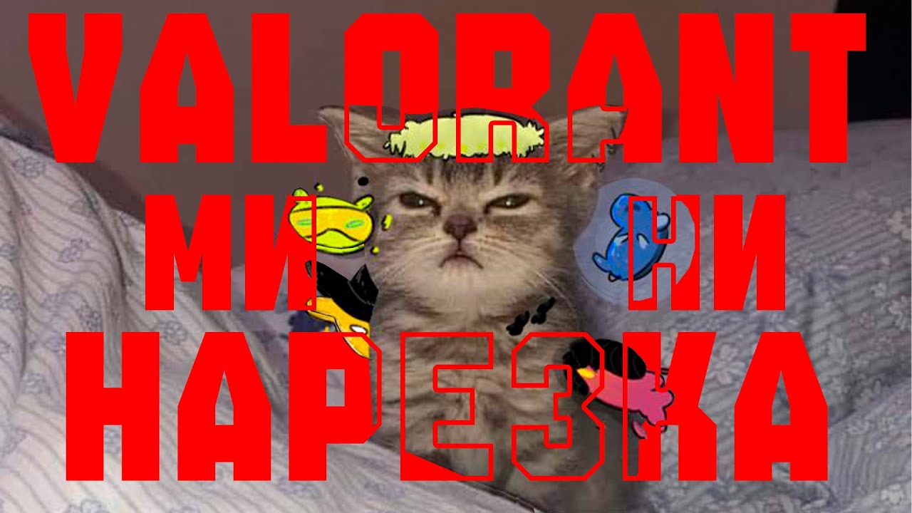 Мини нарезка по Valorant