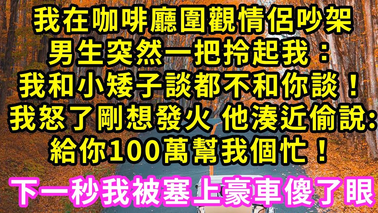 我在咖啡廳圍觀情侶吵架，男生突然一把拎起我：我和小矮子談都不和你談！我剛想發火 他湊近偷偷說:50萬幫個忙！下一秒我被塞上豪車 我傻眼了#甜寵#灰姑娘#霸道總裁#愛情#婚姻#小嫻說故事#暖風故事匯
