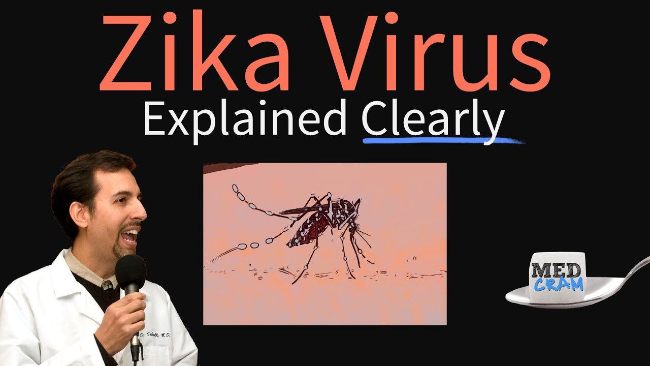 Zika Virus Explained Clearly by MedCram.com