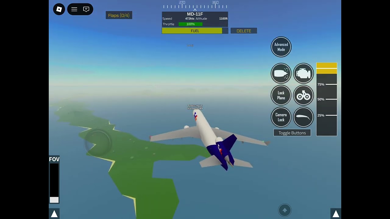 TEDEX 80 flight) crash