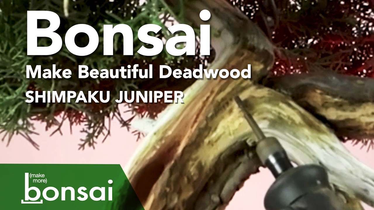 Advanced Deadwood Carving: Juniper Bonsai Makeover