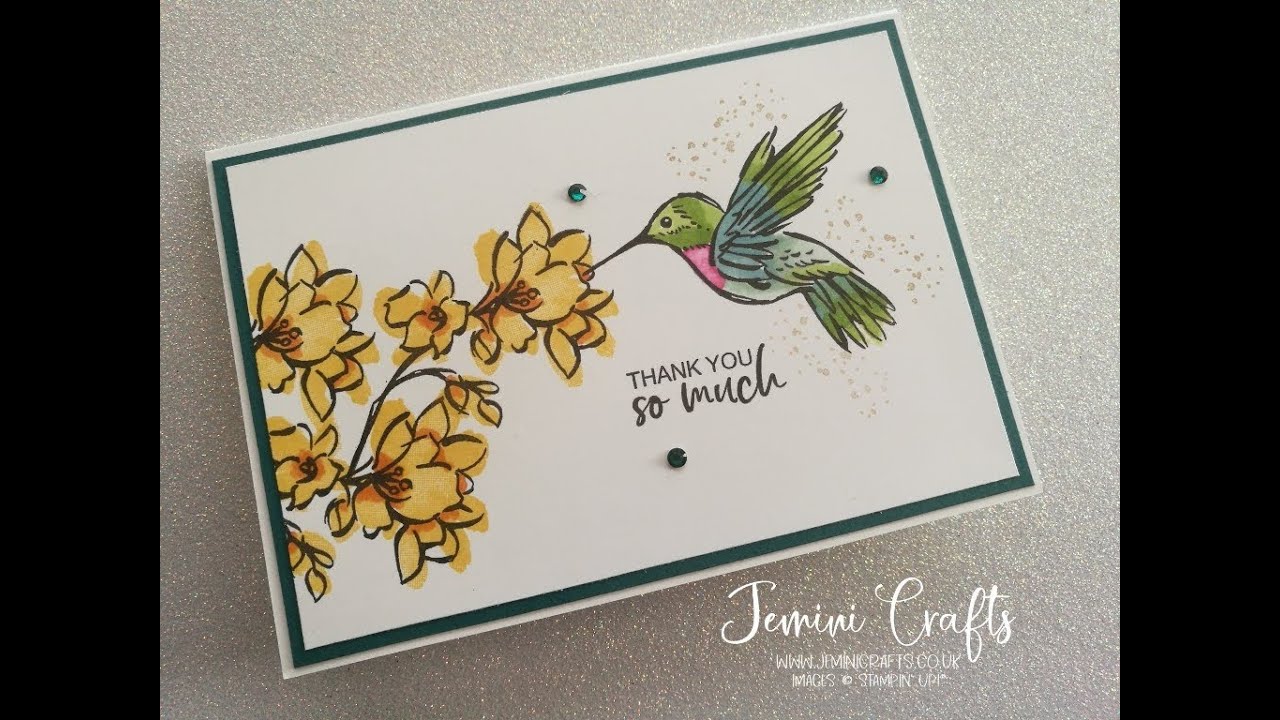 Inking up A Touch of Ink which features a sweet hummingbird design from Stampin' Up!