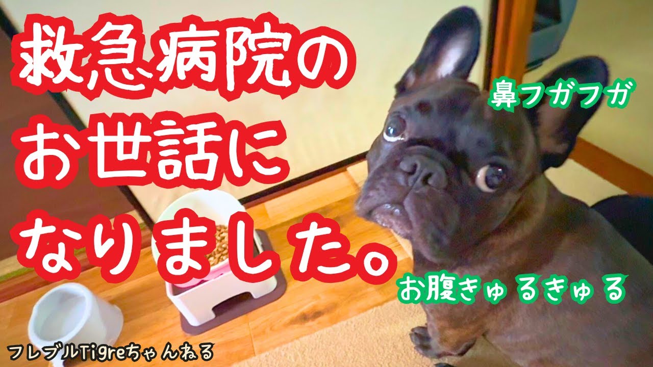 夜間救急病院にお世話になった次の日が大変でした