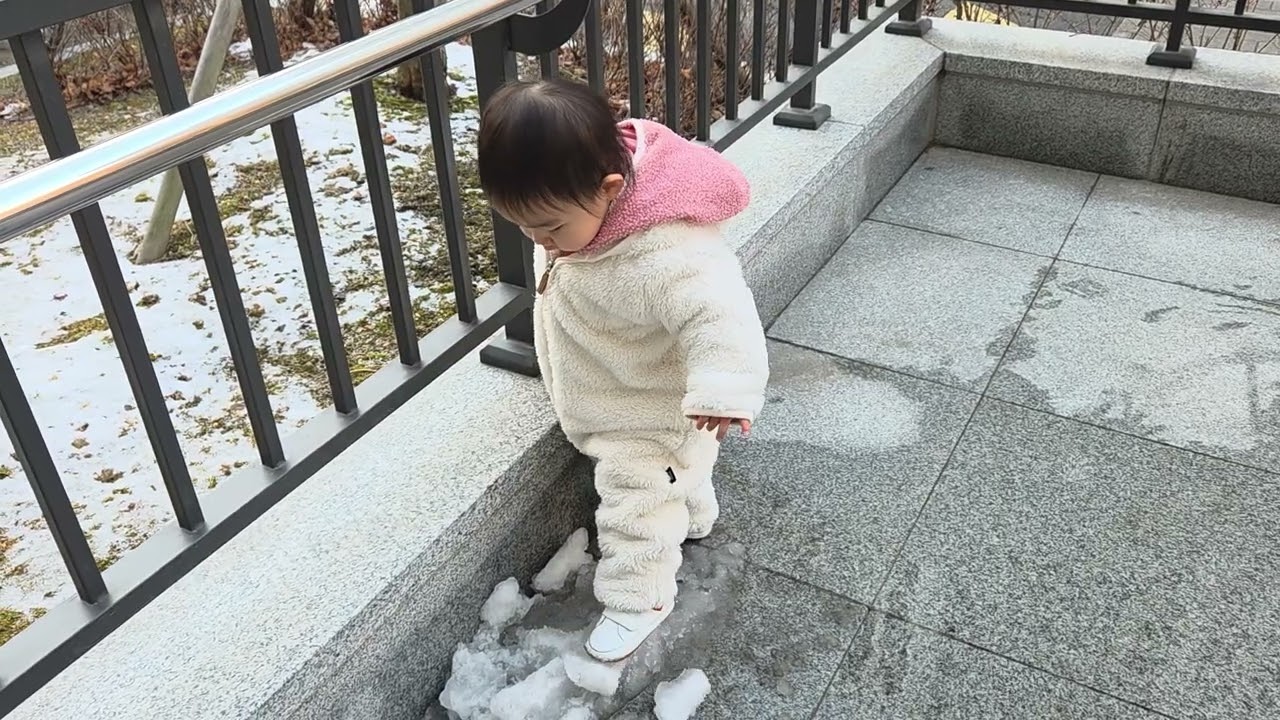 2026년 2월 25일