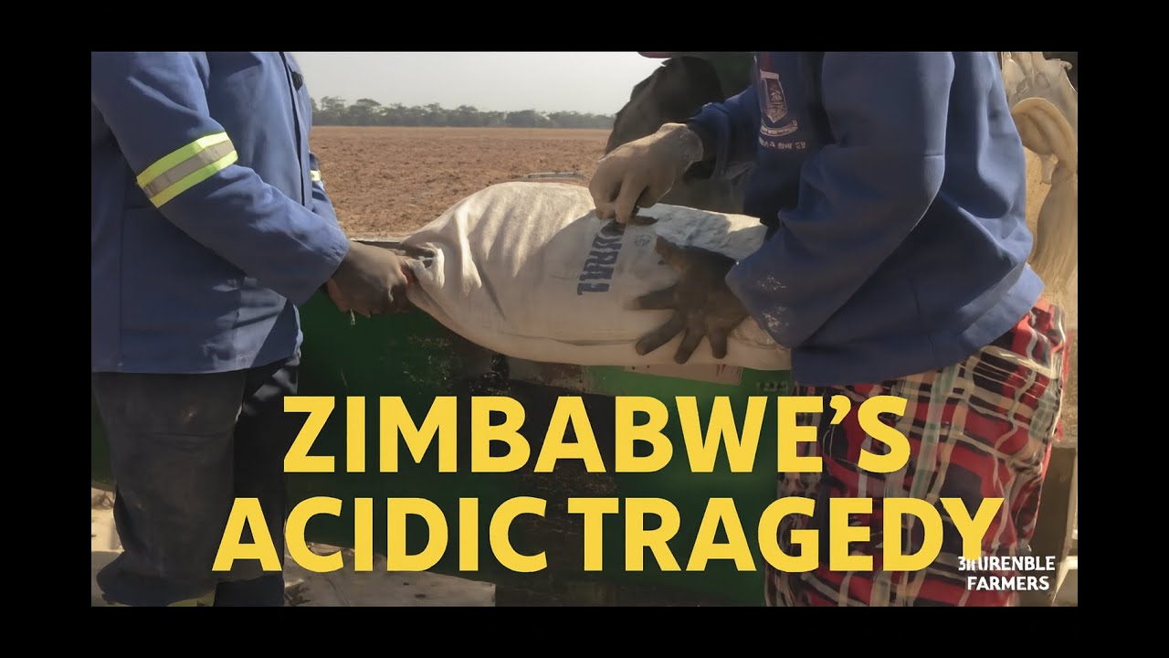 Zimbabwe's acidic tragedy