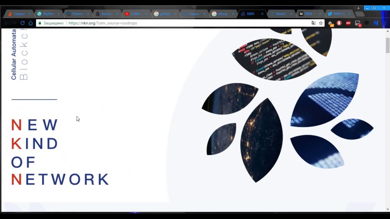 ⭐NKN - ICO 2018 (краткий обзор)