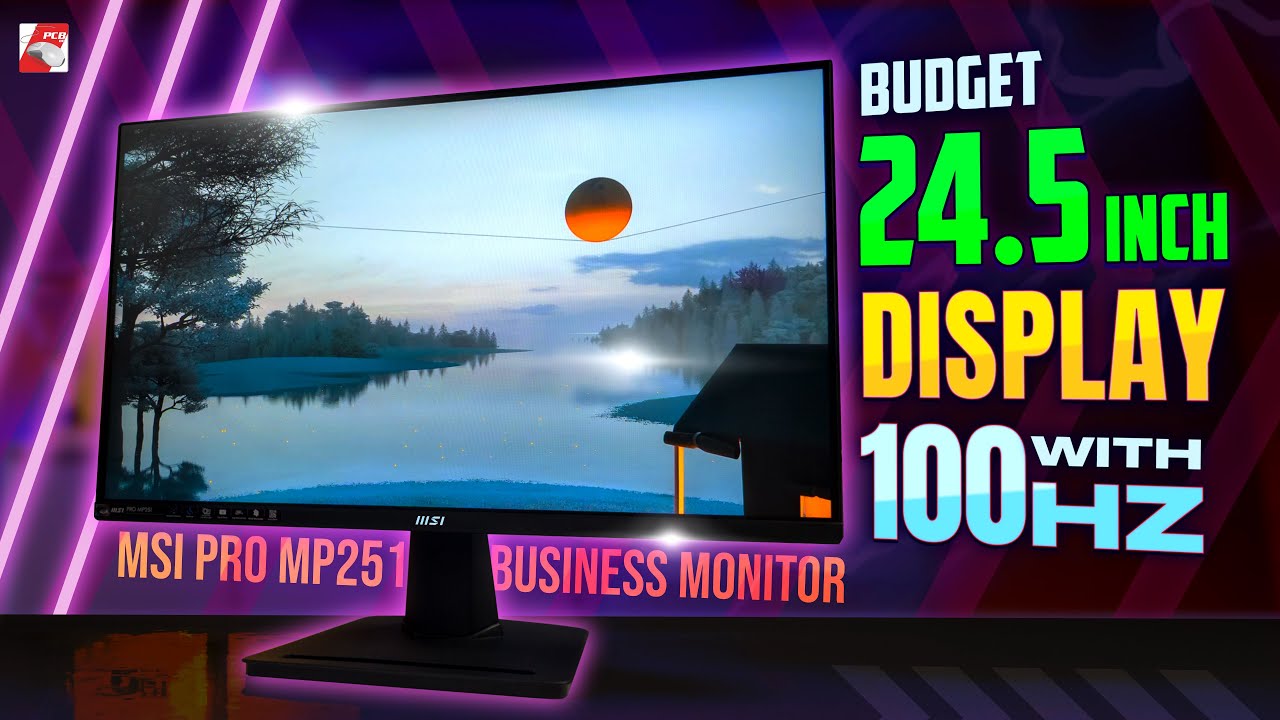 24.5inch 100hz IPS Budget Monitor! | MSI Pro MP251 Review