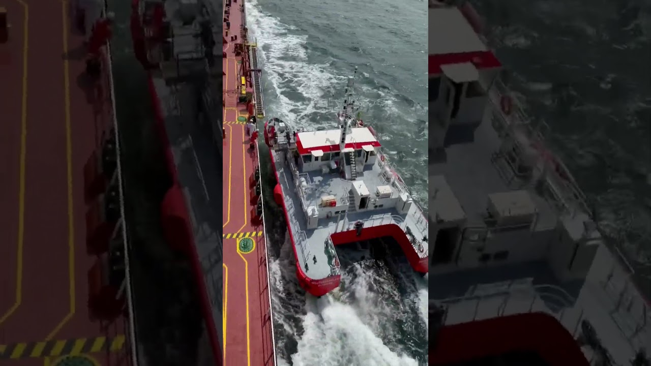 Wandelaar Pilot #capitanalinalexe #navigation #vessel #tanker #reels #pilot #nava #cadetlife