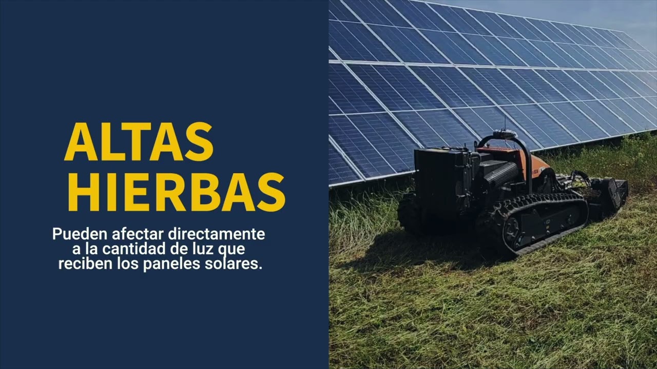 ✂🌿Desbroce de terrenos | Alus&iacute;n Solar Servicios