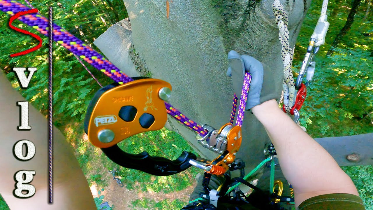 Tree Climbing: First Rope Walking with Petzl Chicane + ZigZag PLUS  (Silent Vlog)