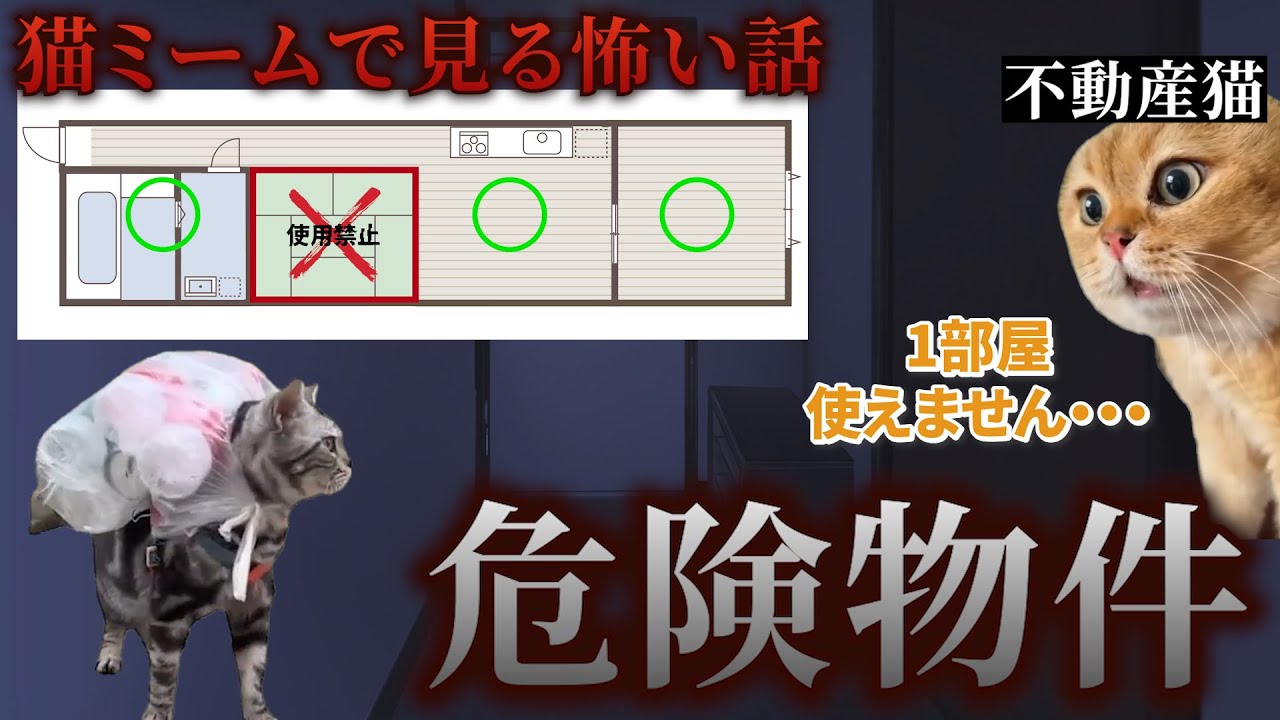【猫ミーム】×【怖い話】危険物件 #猫マニ  #怖い話