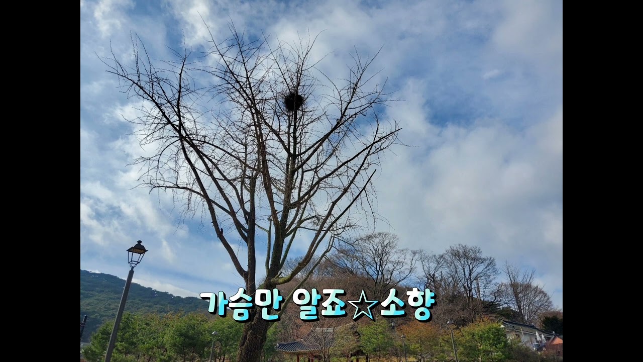 가슴만 알죠☆소향/연속5번듣기