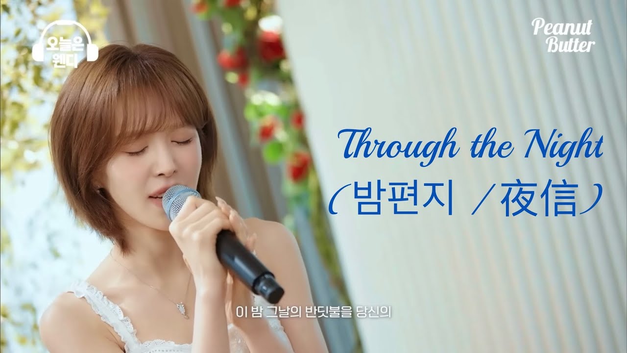 Wendy(Red Velvet) - Through the Night (밤편지 / 夜信) Cover