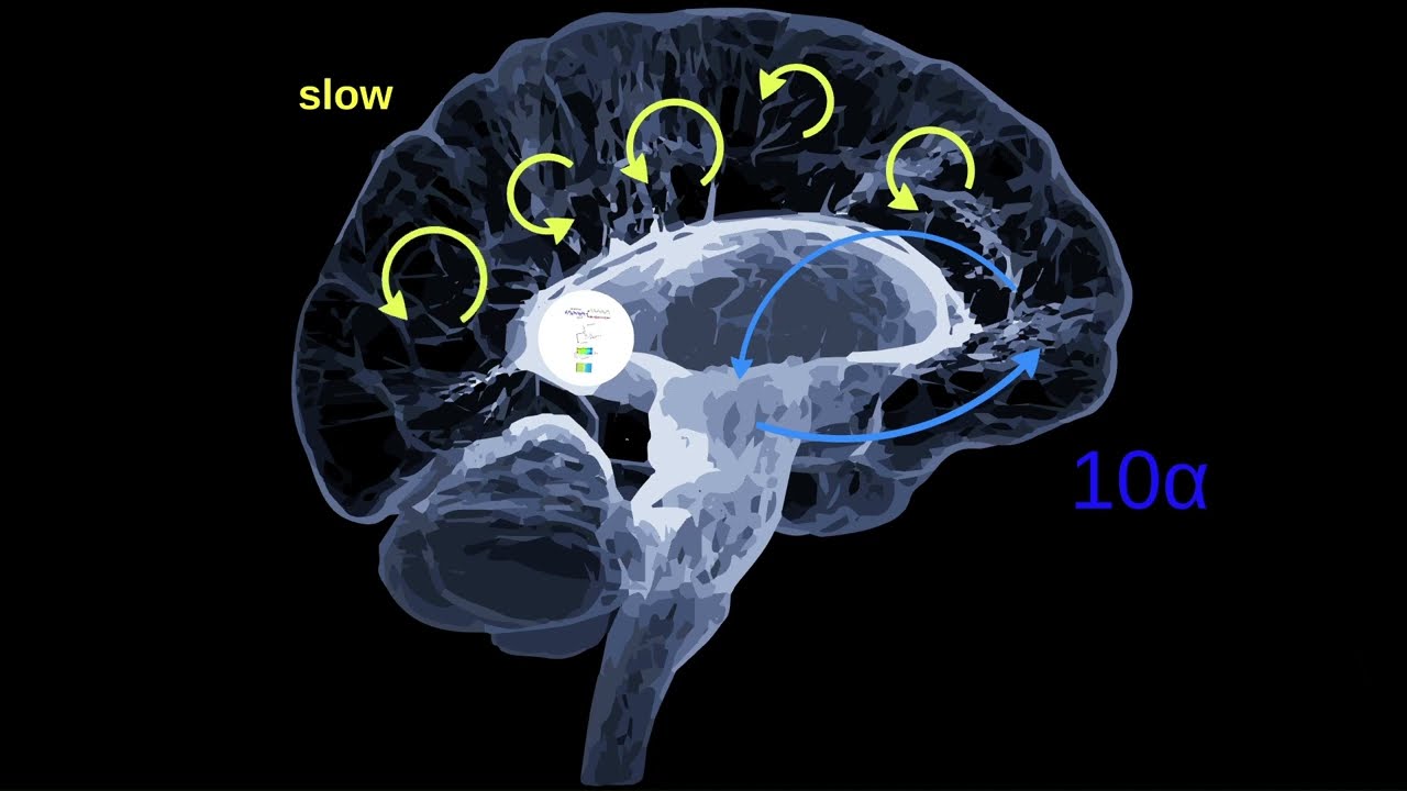 Intraoperatives EEG - Powerspektrometrie (2017) Sternstunde der Anästhesiologie