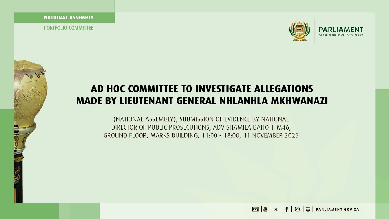 Ad Hoc Committee Investigate Allegations by Lieutenant General Mkhwanazi 1/2, 11 November 2025