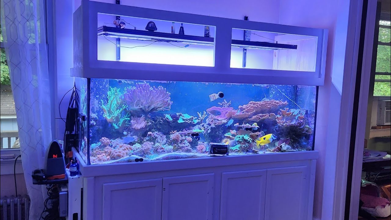 DIY Tank Canopy Part 1