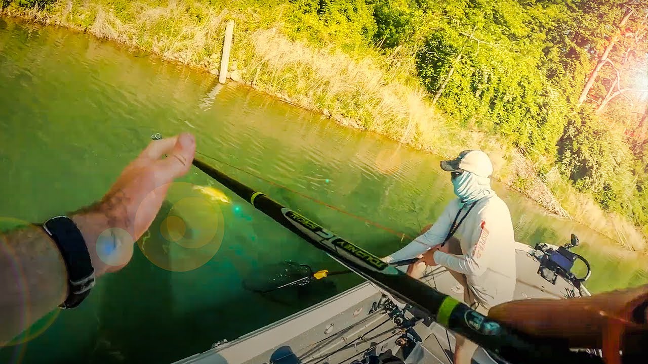 MLF Patoka Lake Bass Fishing Tournament - Co-Angler