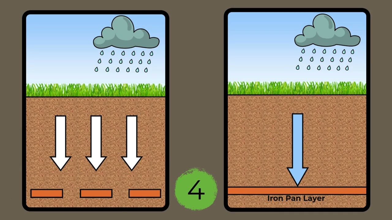 How peat bogs formed in the ‘Lost Peatlands’