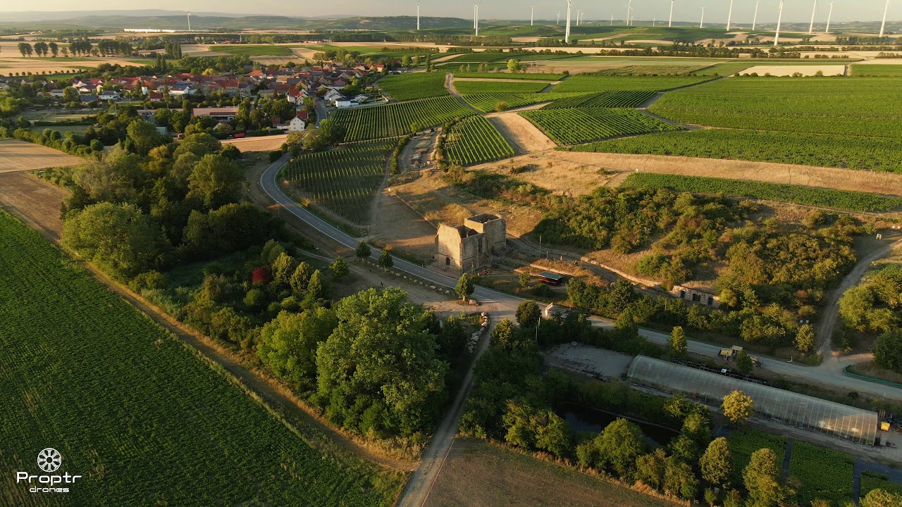 VG Wöllstein | by Proptr Drones