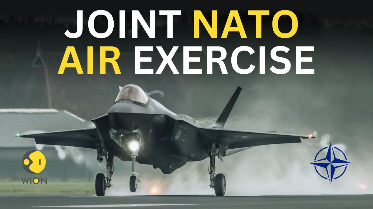 Dutch and Polish jets perform joint NATO air exercise | Polish MiG-29s & Dutch F-35s in action
