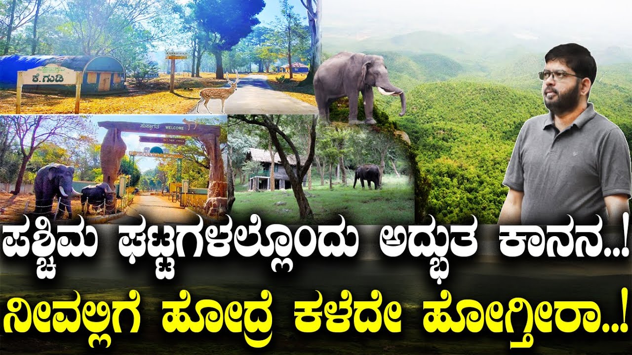 ಪಶ್ಚಿಮ ಘಟ್ಟಗಳಲ್ಲೊಂದು ಅದ್ಭುತ ಕಾನನ..! ನೀವಲ್ಲಿಗೆ ಹೋದ್ರೆ ಕಳೆದೇ ಹೋಗ್ತೀರಾ..! Beauty of western Ghats