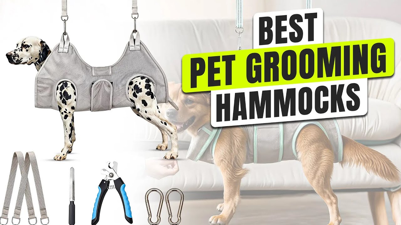 3 BEST Pet Grooming Hammocks