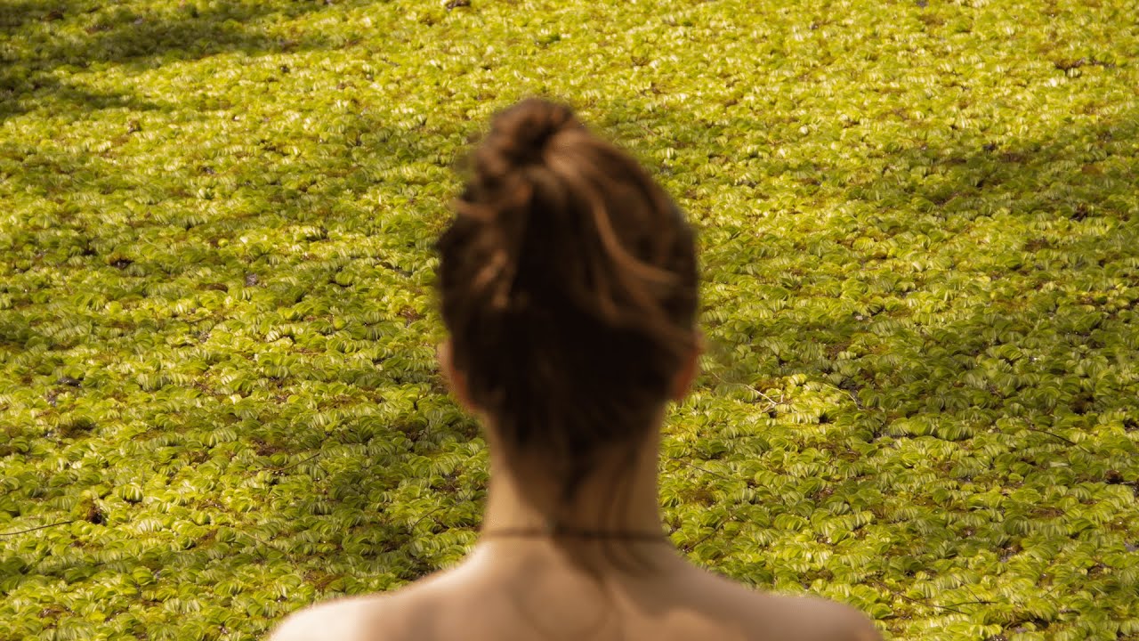 Meditação para INICIANTES - por onde começar? | Yoga Sem Exagero