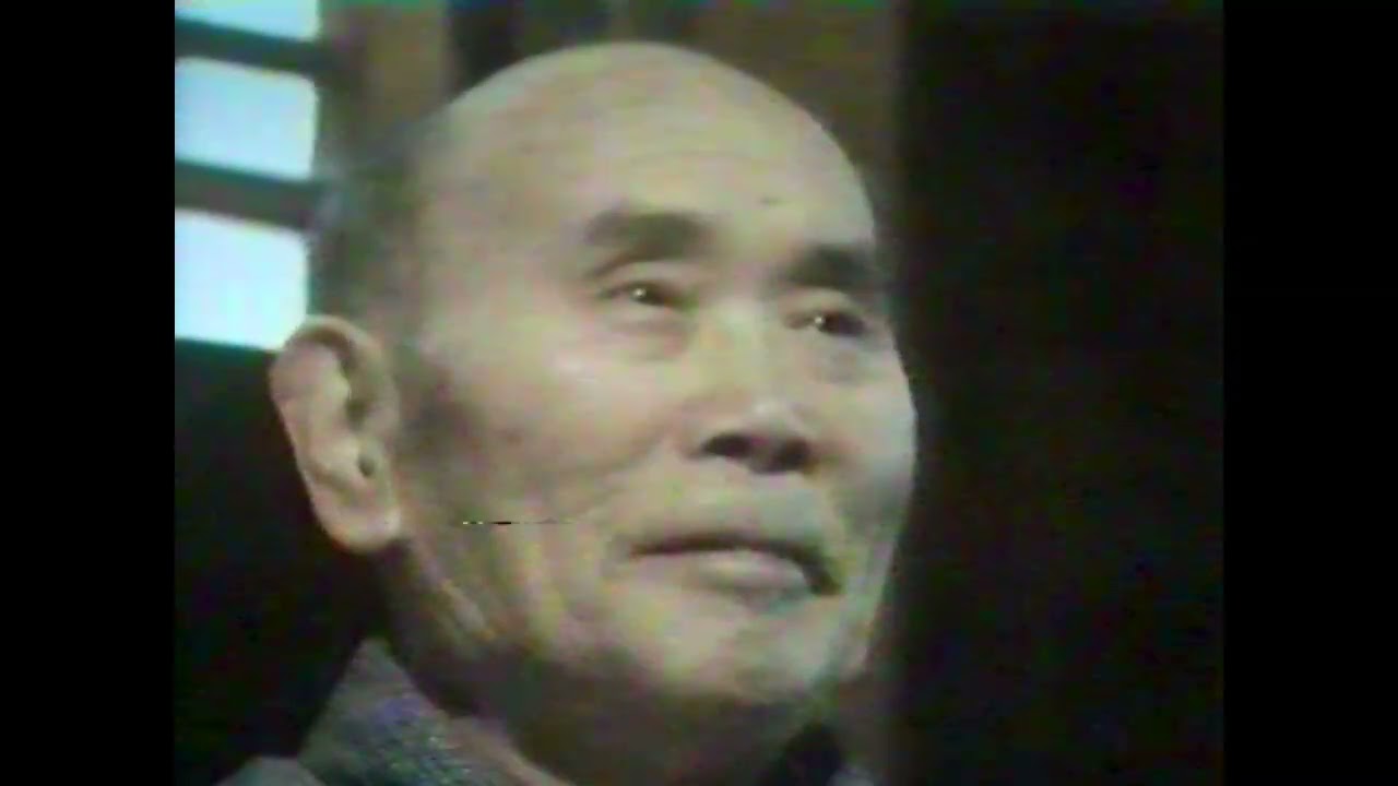 IBA Education Archive: Japan - The Crowded Islands (1979)