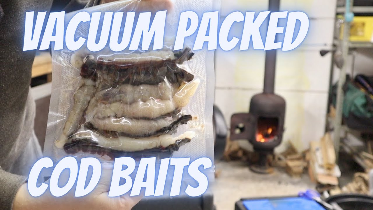 Squid & Black Lug COD bait prepared and vacuum packed