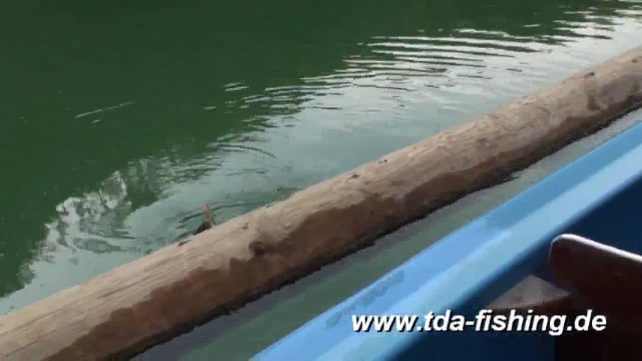 Forellenfischen im Klausstausee