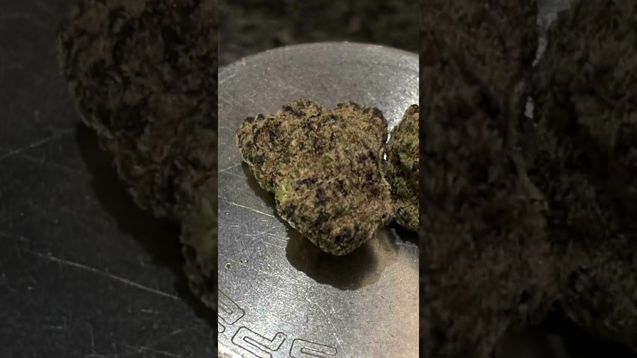 Next Friday BF T24 - Blueberry Fuego - UK Medical Cannabis Flower Review