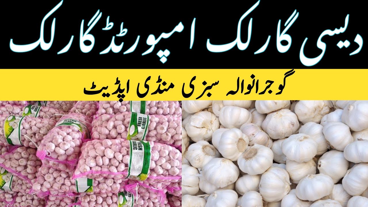 Desi Garlic China Garlic Gujranwala October 1, 2024