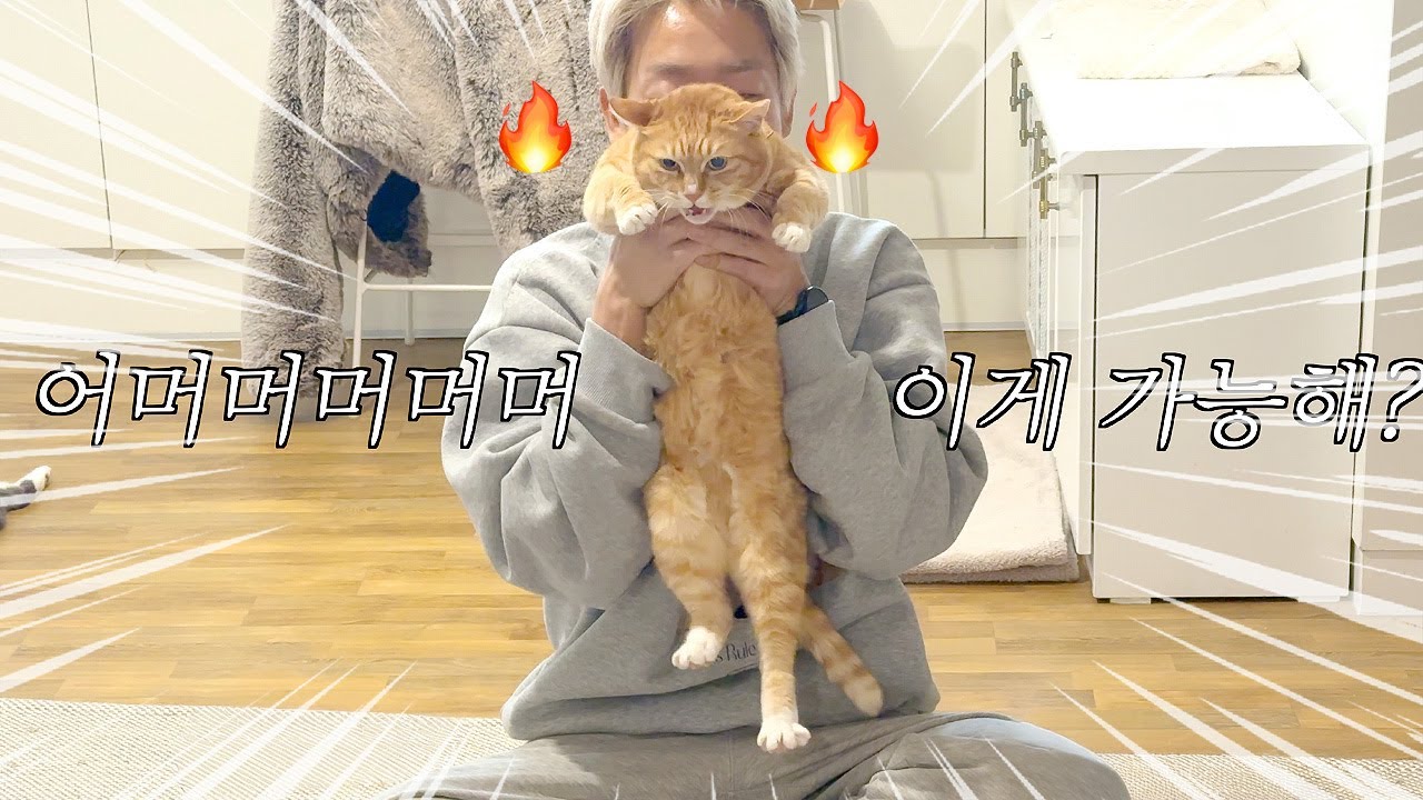 오들이를 오뎅국물처럼 들어올리면 생기는 일