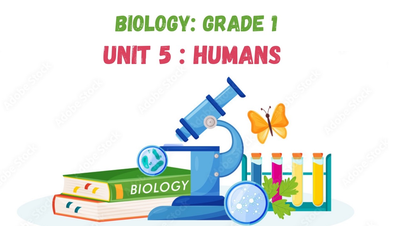 UNIT 5: HUMANS