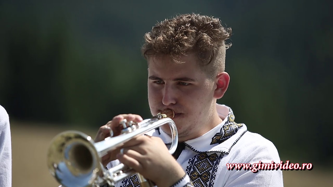 Fanfara Bucovina - Pe plaiuri moldovenesti