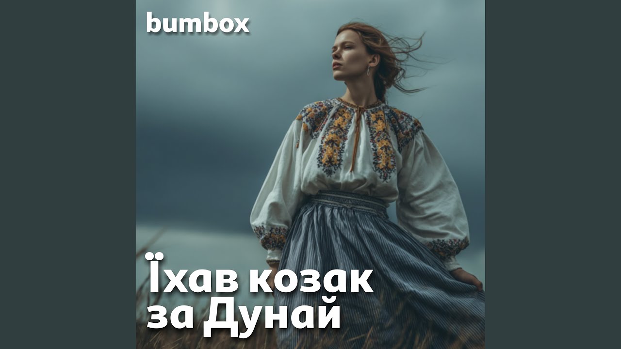 Їхав козак за Дунай
