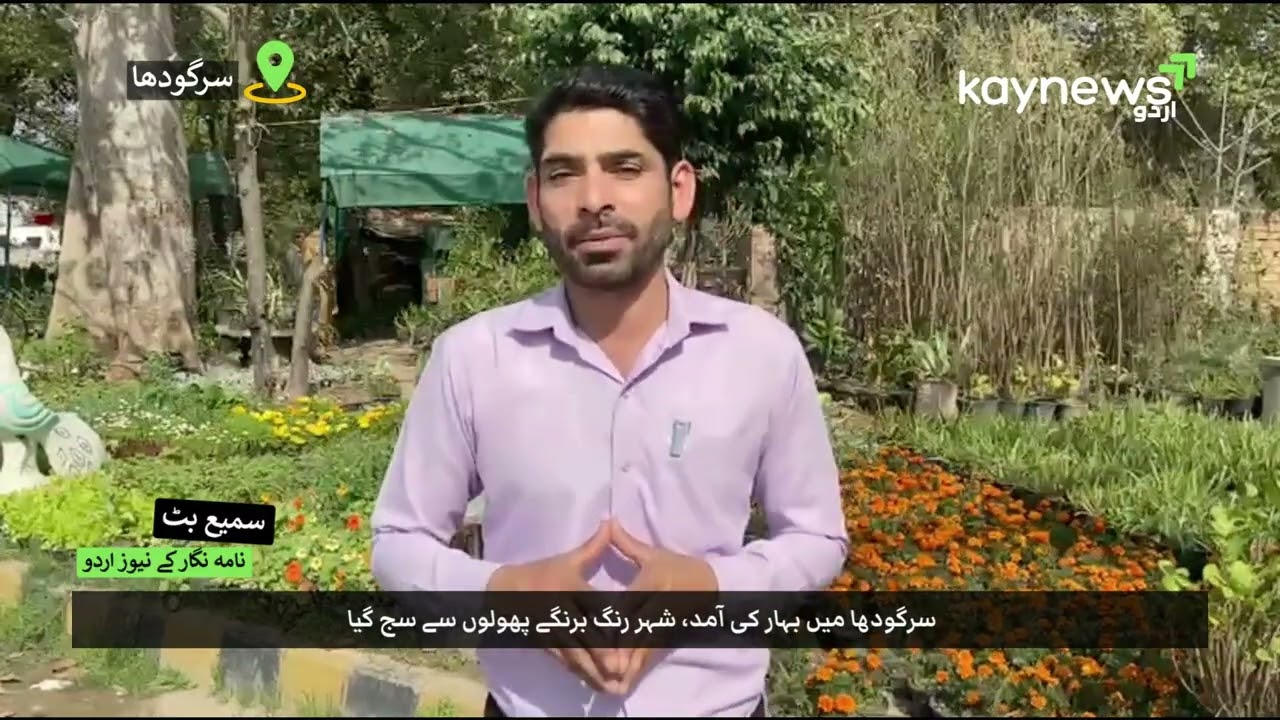 سرگودھا میں بہار کی آمد، شہر رنگ برنگے پھولوں سے سج گیا