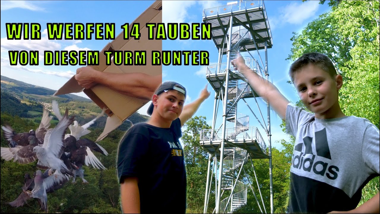 Wir werfen 14 Tauben von einem Turm runter und hoffen die kommen zuhause an!
