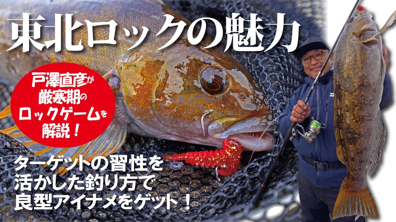 【東北ロックの魅力】／ターゲットの習性を活かした釣り方で良型アイナメをゲット！～戸澤直彦～