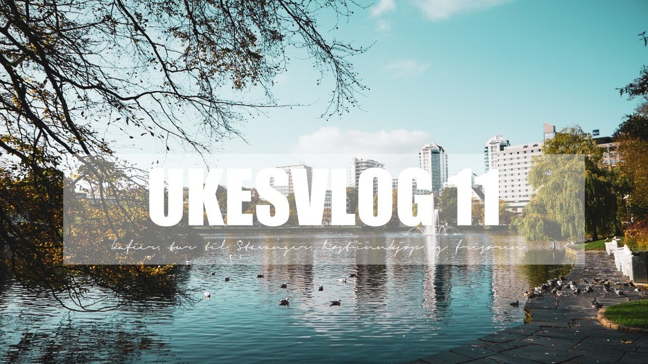 UKESVLOG 11 | Stavanger tur, h&oslash;st-innkj&oslash;p og fris&oslash;ren